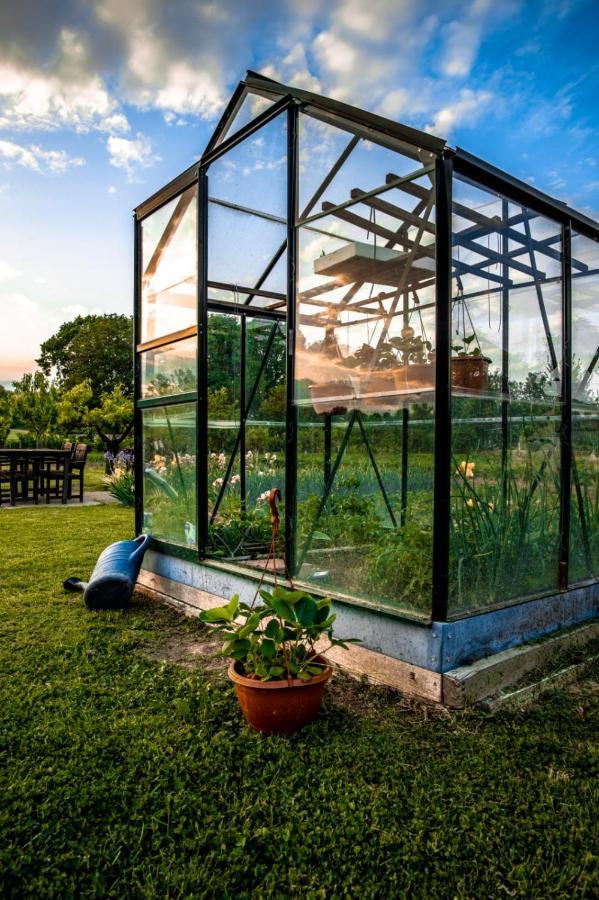 Restoran I Prenociste Egghus Hotel Nasice Bagian luar foto