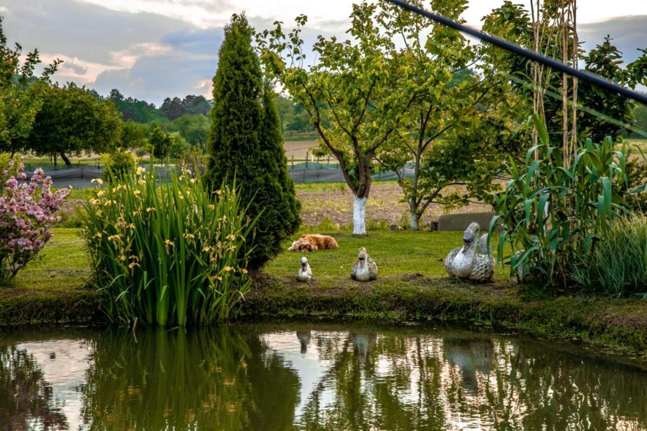 Restoran I Prenociste Egghus Hotel Nasice Bagian luar foto